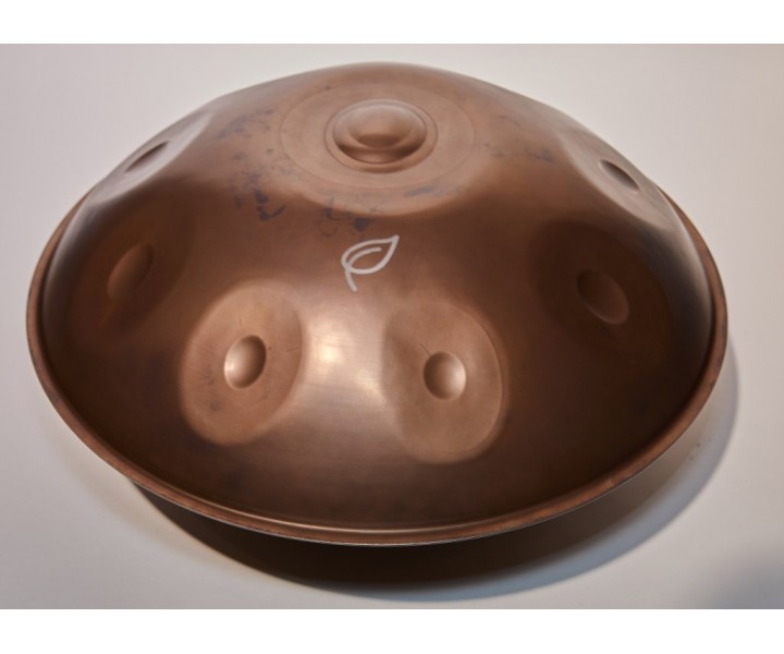 Handpan Leaf D-moll