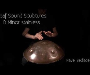 Leaf handpan D-moll-1