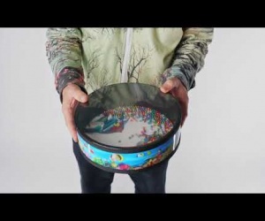Ocean drum Ryby modrý
